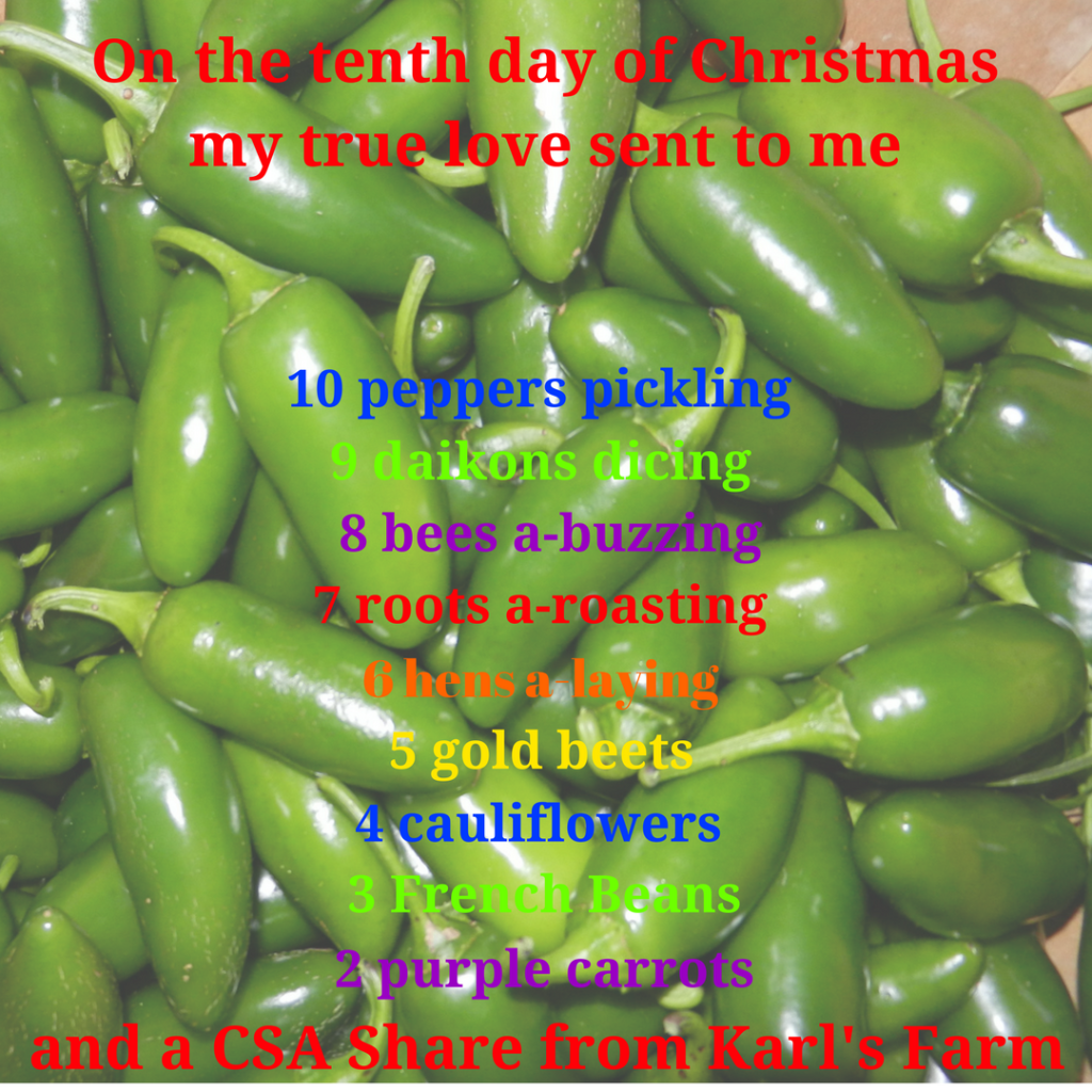 On the tenth day of Christmas, my true love sent to me 10 peppers pickling, 9 daikons dicing, 8 bees a-buzzing, 7 roots a-roasting, 6 hens a-laying, 5 gold beets, 4 cauliflowers, 3 French beans, 2 purple carrots and a CSA Share from Karl's Farm.