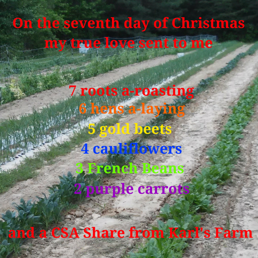 On the seventh day of Christmas, my true love sent to me 7 roots a-roasting, 6 hens a-laying, 5 gold beets, 4 cauliflowers, 3 French beans, 2 purple carrots and a CSA Share from Karl's Farm.